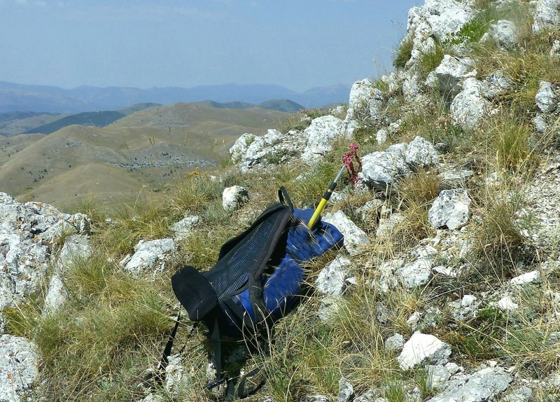 Le belle Epipactis sulle praterie di Campo Imperatore (AQ)  luglio 2025.